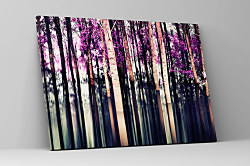 Obraz Mystický les 2013